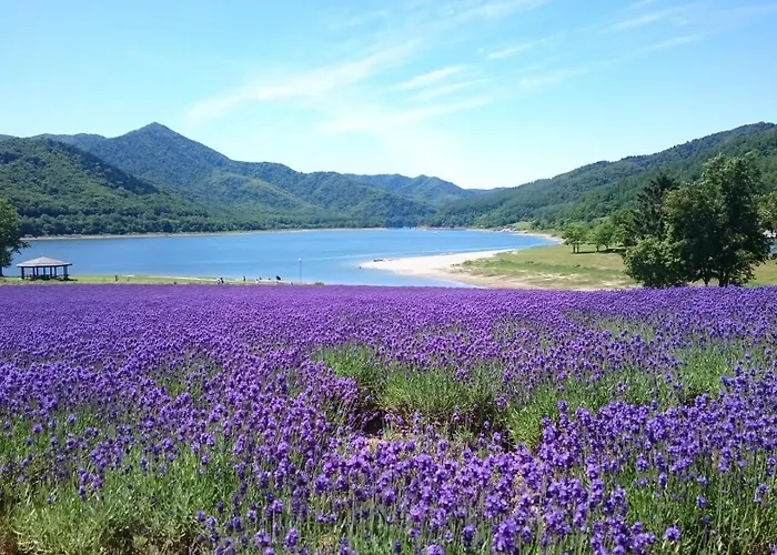 Tokachi Hotels